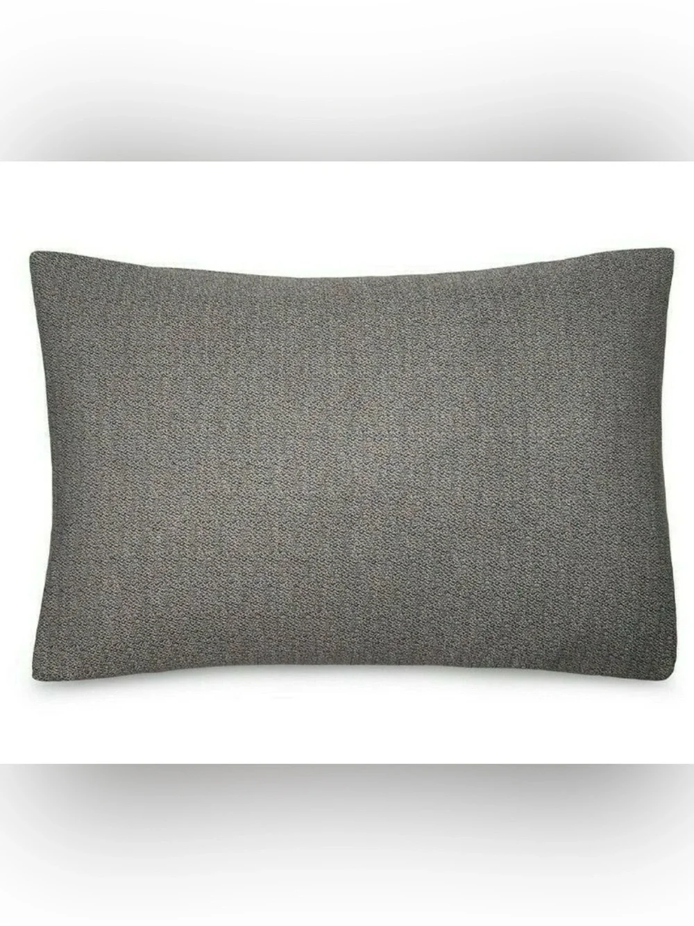 NWT Calvin Klein Modern Cotton Ray Bedding Sham KING Set of 2 Black Cream